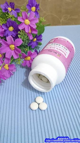 PhotoCap_11655121_986052514759600_492722141_n.jpg 試用