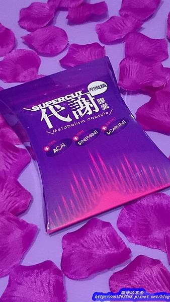 PhotoCap_11721988_993298987368286_1786262256_n.jpg 試用