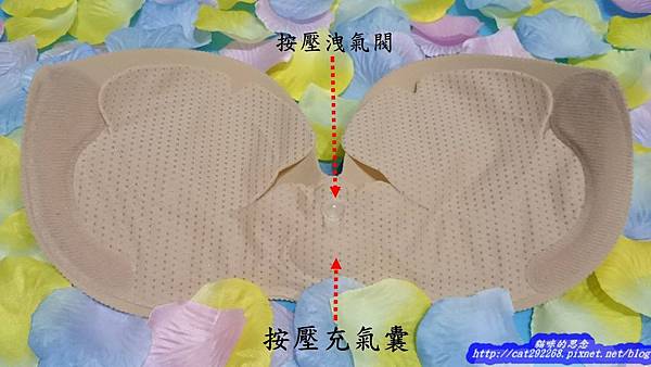 PhotoCap_11806893_1002375779793940_1067762249_o.jpg 試用