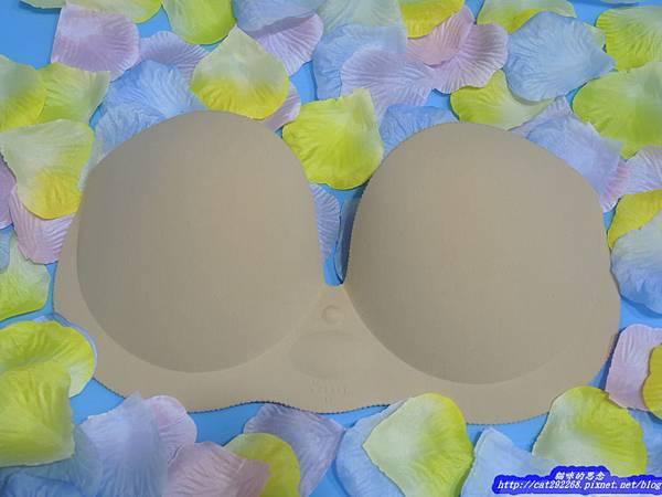 PhotoCap_DSCN0618.jpg 試用