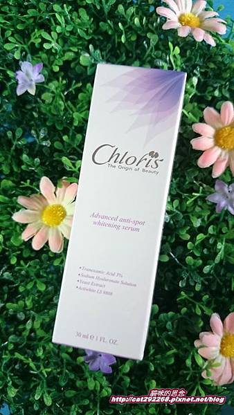 PhotoCap_1.jpg 試用