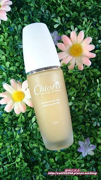 PhotoCap_5.jpg 試用