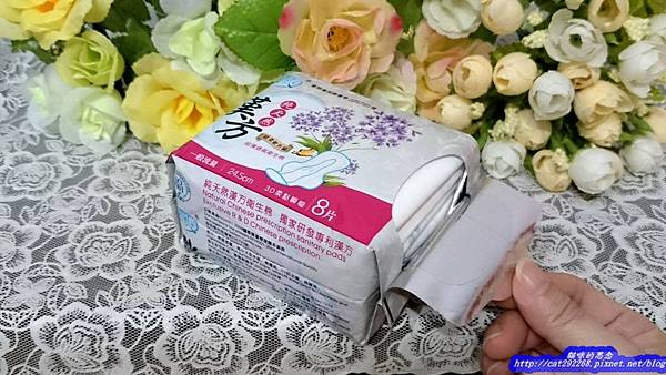 PhotoCap_7.jpg 試用