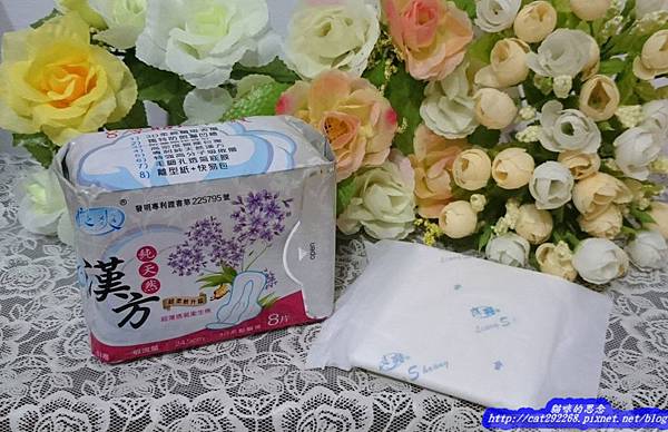 PhotoCap_8.jpg 試用