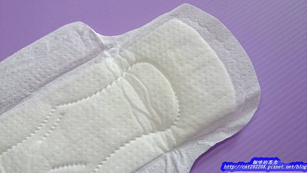 PhotoCap_DSC_0174.jpg 試用