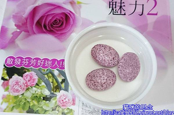 PhotoCap_11975367_1017553_2140264855_o.jpg 試用