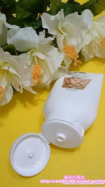 PhotoCap_5.jpg 試用