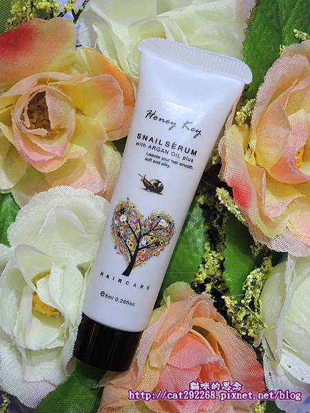 PhotoCap_1.jpg 試用