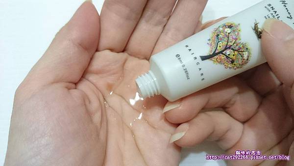 PhotoCap_4.jpg 試用