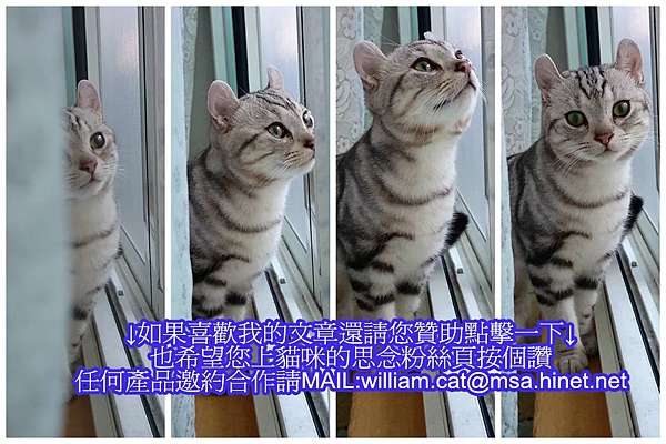 部落格文末.jpg 試用