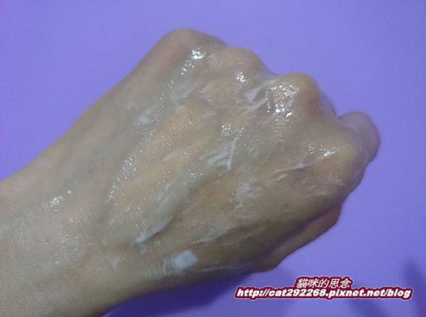 PhotoCap_10.jpg 試用