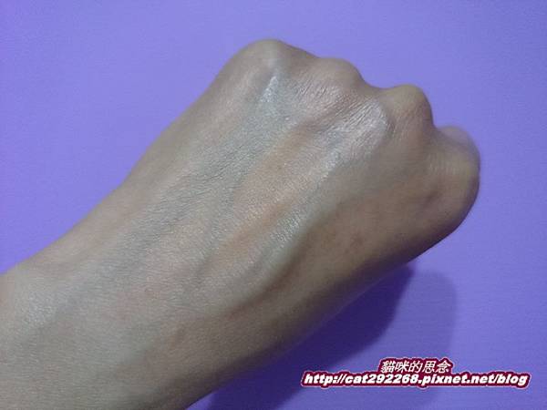 PhotoCap_11.jpg 試用