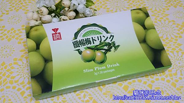 PhotoCap_1.jpg 試用