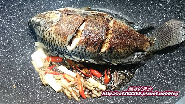 PhotoCap_紅燒豆腐吳郭魚7.jpg PhotoCap_紅燒豆腐吳郭魚7.jpg