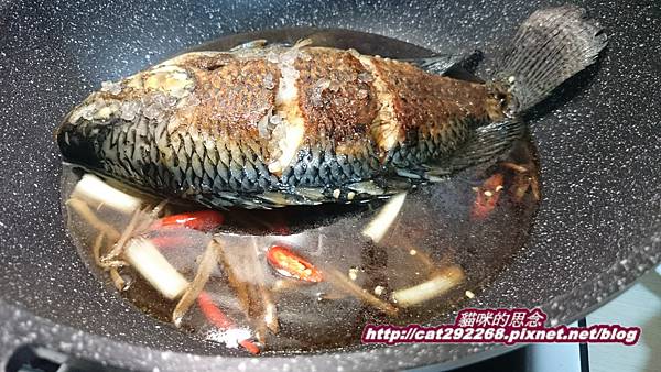 PhotoCap_紅燒豆腐吳郭魚9.jpg PhotoCap_紅燒豆腐吳郭魚9.jpg