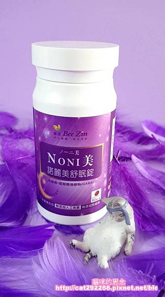 PhotoCap_4.jpg 試用