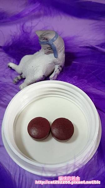 PhotoCap_8.jpg 試用