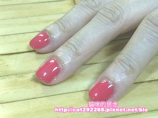 PhotoCap_13.jpg 試用