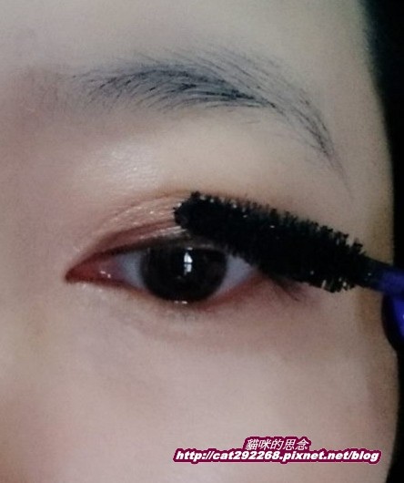 PhotoCap_15.jpg 試用