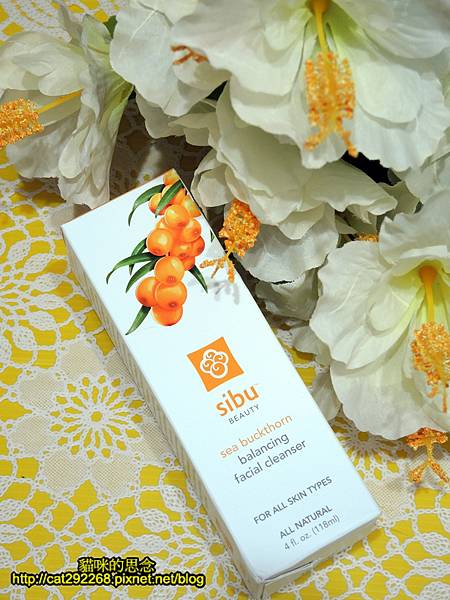 PhotoCap_DSCN2030.jpg 試用