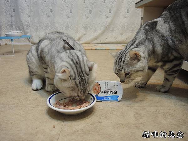 貓倍麗珍饌餐盒DSCN7784.jpg