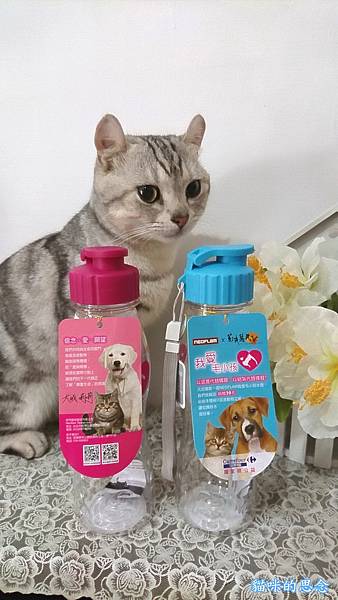 我愛毛小孩水壺DSC_06.jpg 我愛毛小孩水壺DSC_06.jpg