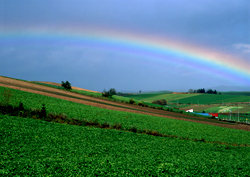 rainbow 彩虹有約.jpg