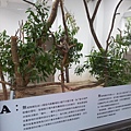 20121112_161325.jpg