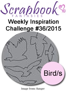 SFchallenge-36-2016.jpg SFchallenge-36-2016.jpg
