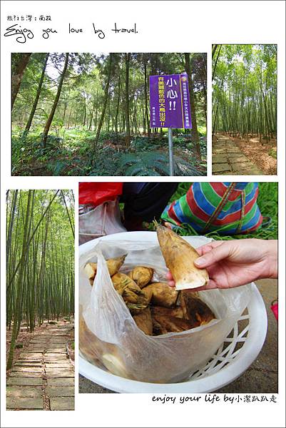 南投,孟宗竹綠色隧道,小半天,一日遊,行程,長源圳生態步道,廣告,場景,林爽文古戰場園區,瀑布,吊橋,南投景點