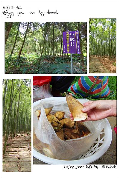 【南投】小半天-孟宗竹綠色隧道~另附上5條路線景點一日遊!孟宗竹林古戰場(林爽文古戰場竹林步道) 長源圳生態步道,台灣藍腹鷳聚集地~也是國際巨星凱特布蘭琪拍SKII廣告片~ 孟宗竹林古戰場,德興瀑布,長源圳生態步道,小半天風景區,台灣藍腹鷳生態觀查區,太極峽谷天梯,八卦茶園,南投,孟宗竹綠色隧道,小半天,一日遊,行程,廣告,場景,林爽文古戰場園區,瀑布