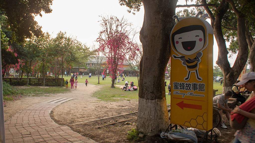 貓與蟲來古坑綠色隧道時，別錯過蜂蜜故事館～雲林人氣景點之一，免門票，交通便利又有大草原！.jpg