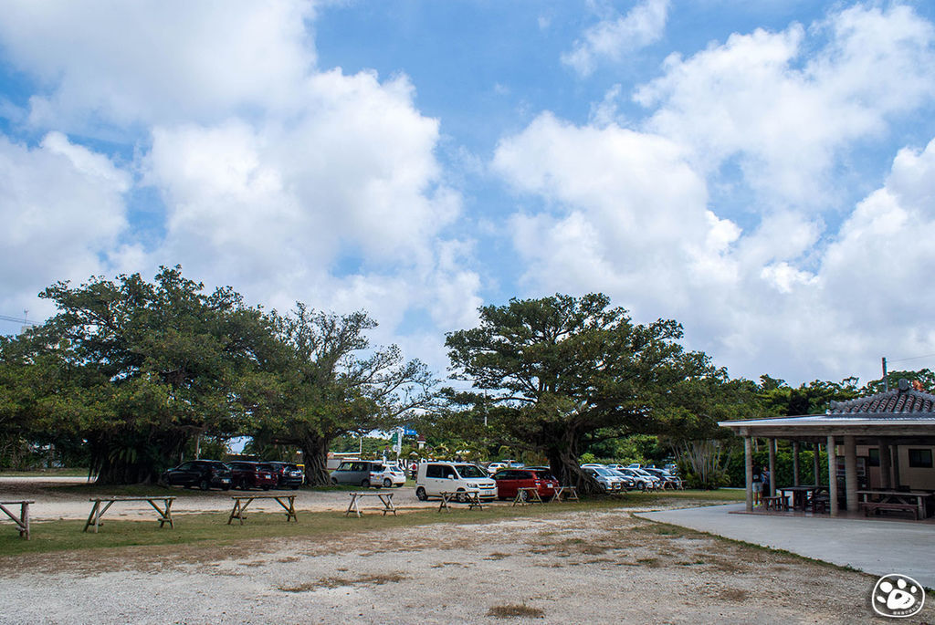 日本沖繩景點-GANGALA之谷 (3).jpg 日本沖繩景點-GANGALA之谷 (3).jpg