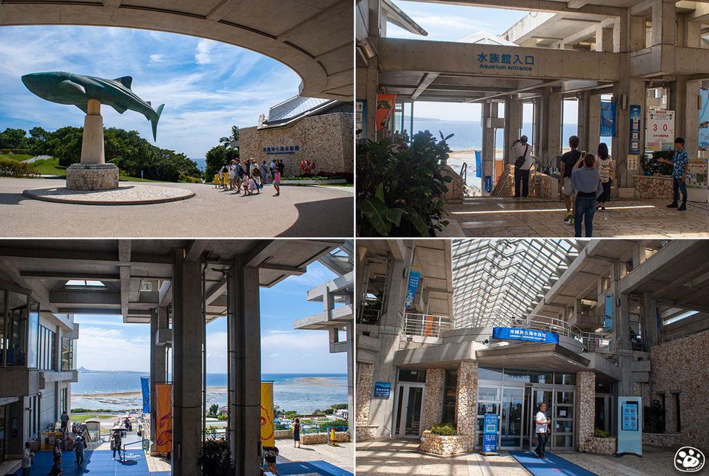 日本沖繩景點美麗海水族館 (2).jpg