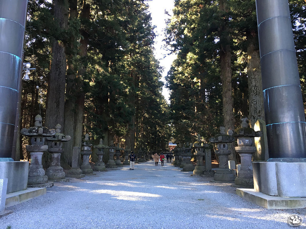 貓與蟲·2019·日本·山梨縣·北口本宮富士淺間神社6.jpg