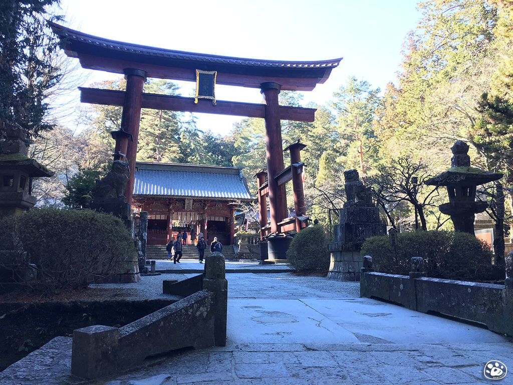 貓與蟲·2019·日本·山梨縣·北口本宮富士淺間神社1.jpg