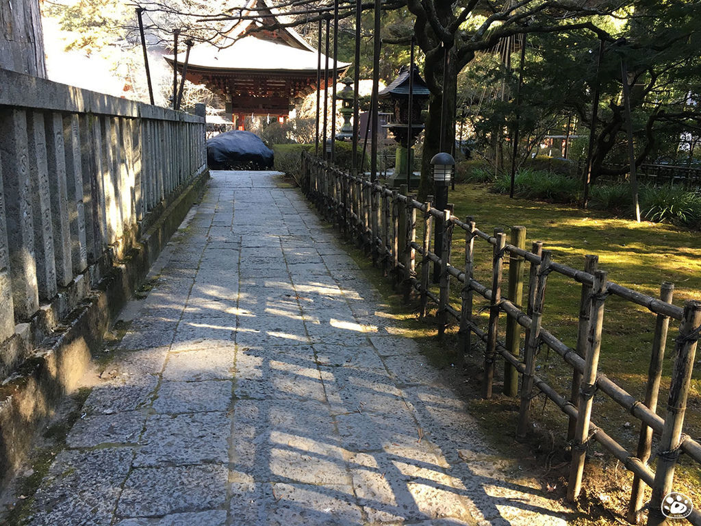 貓與蟲·2019·日本·山梨縣·北口本宮富士淺間神社21.jpg