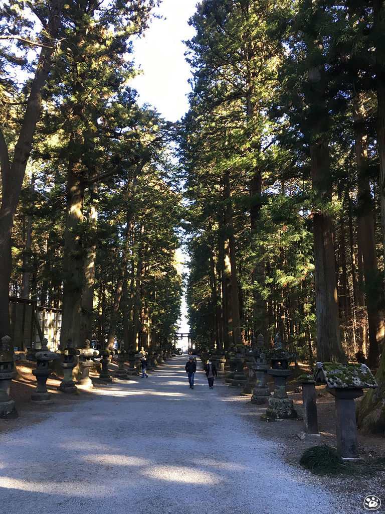 貓與蟲·2019·日本·山梨縣·北口本宮富士淺間神社7.jpg