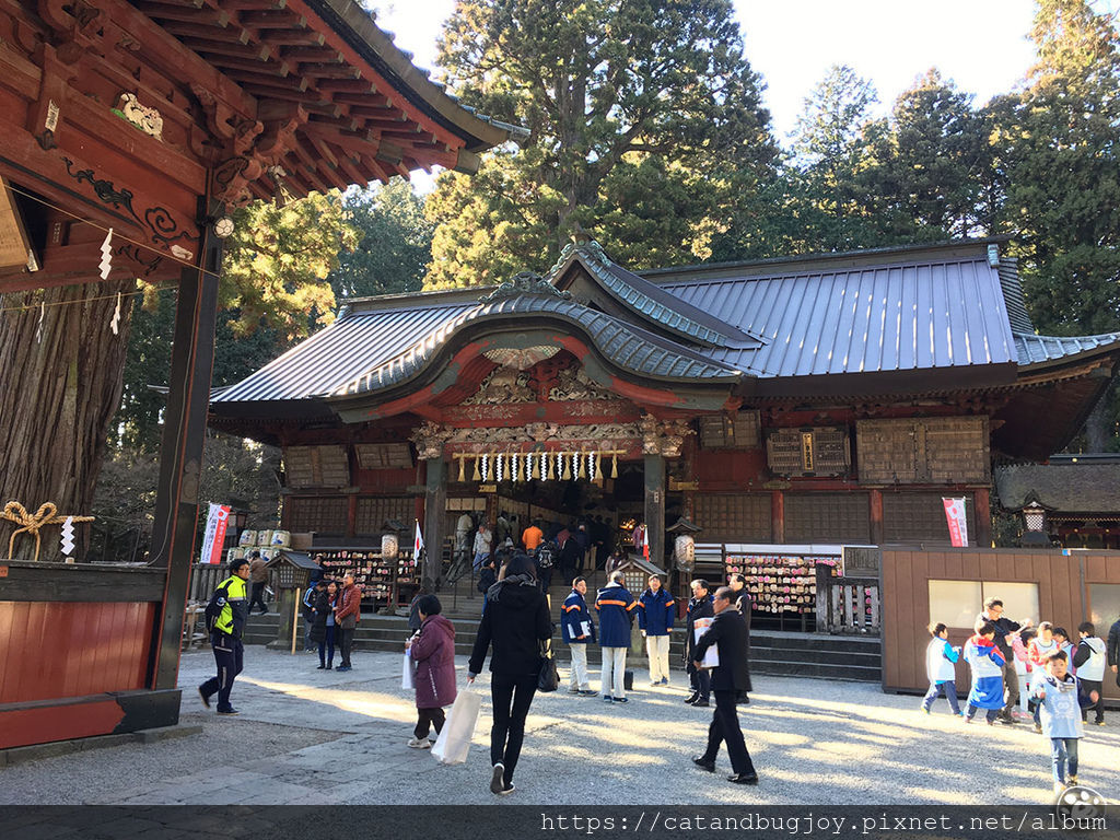 貓與蟲·2019·日本·山梨縣·北口本宮富士淺間神社11.jpg