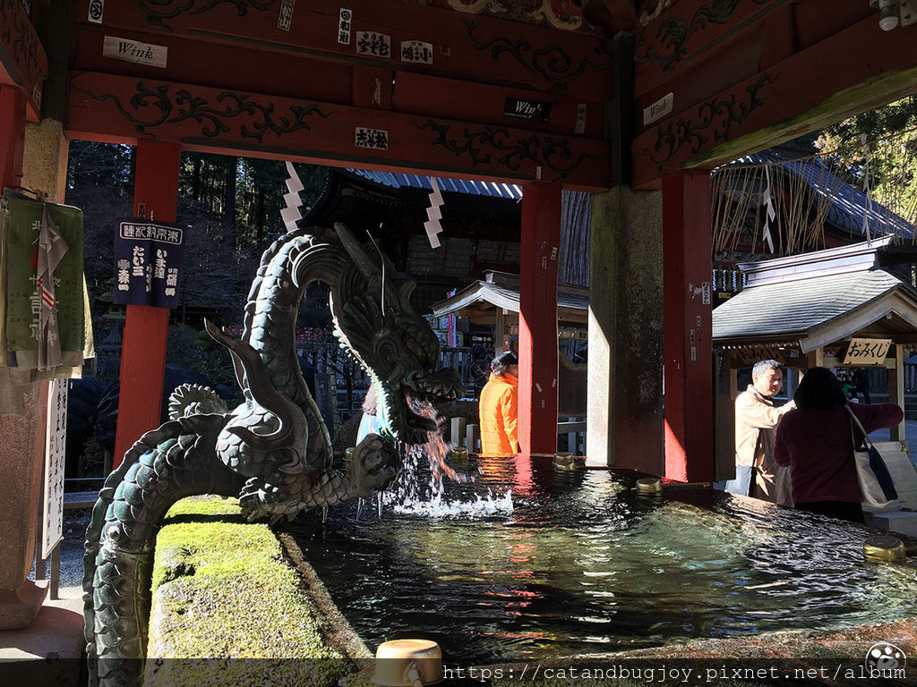 貓與蟲·2019·日本·山梨縣·北口本宮富士淺間神社14.jpg