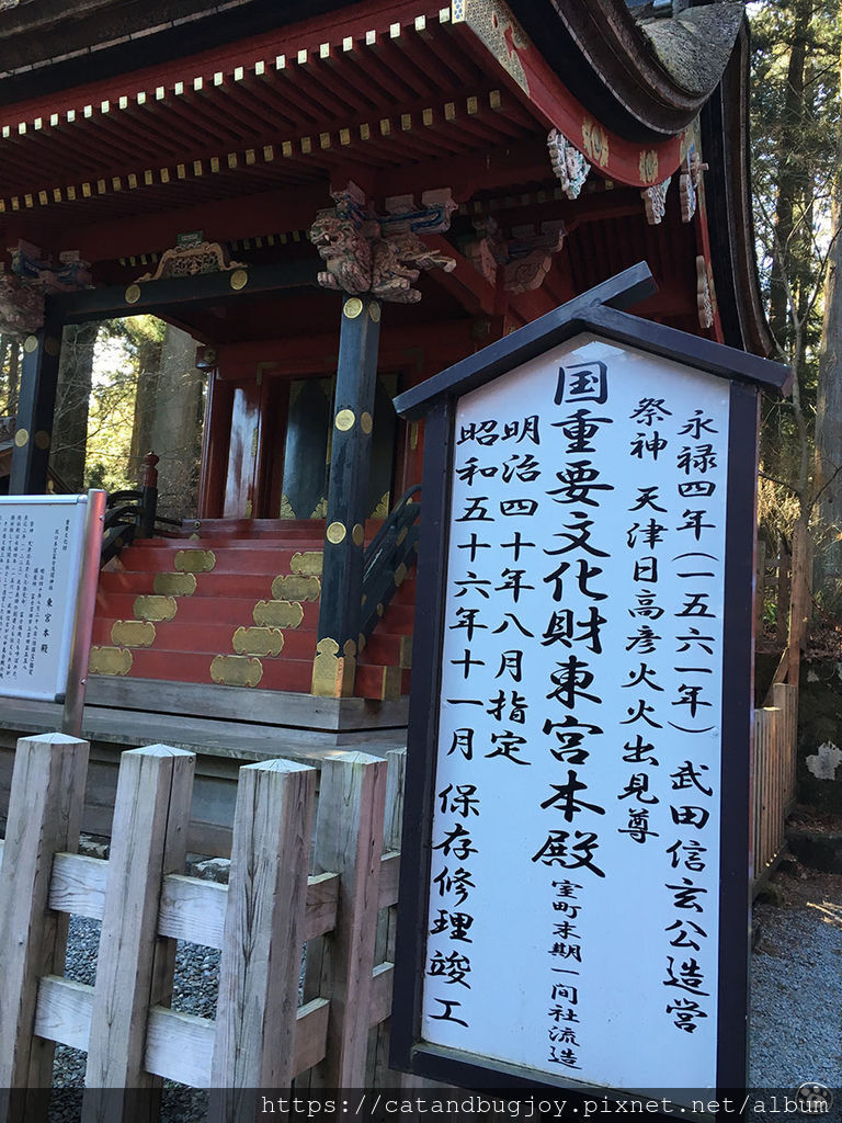 貓與蟲·2019·日本·山梨縣·北口本宮富士淺間神社19.jpg