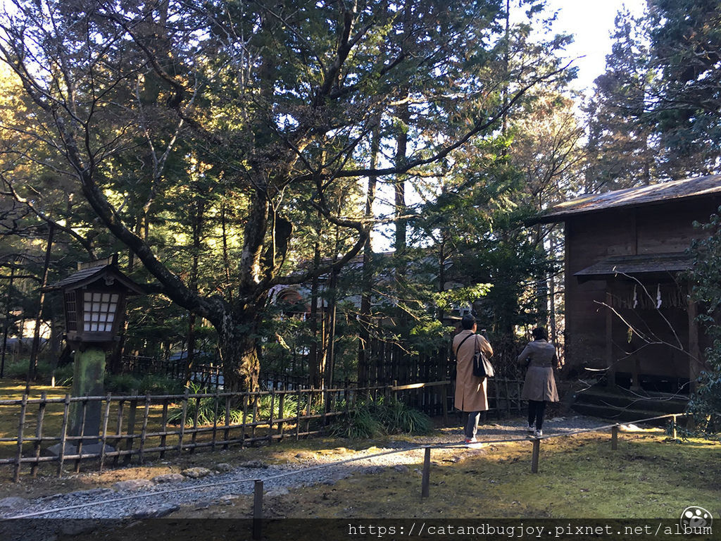 貓與蟲·2019·日本·山梨縣·北口本宮富士淺間神社20.jpg