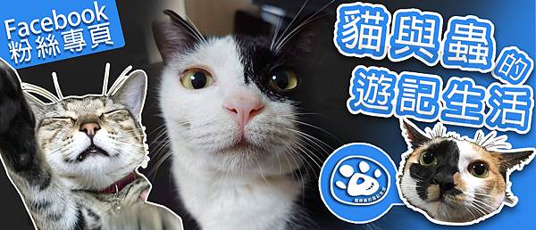 貓與蟲的遊記生活FB粉絲專頁.jpg