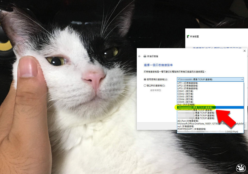 貓與蟲WIN10印表機驅動程式下載安裝教學操作雷射噴墨15.jpg 貓與蟲WIN10印表機驅動程式下載安裝教學操作雷射噴墨15.jpg