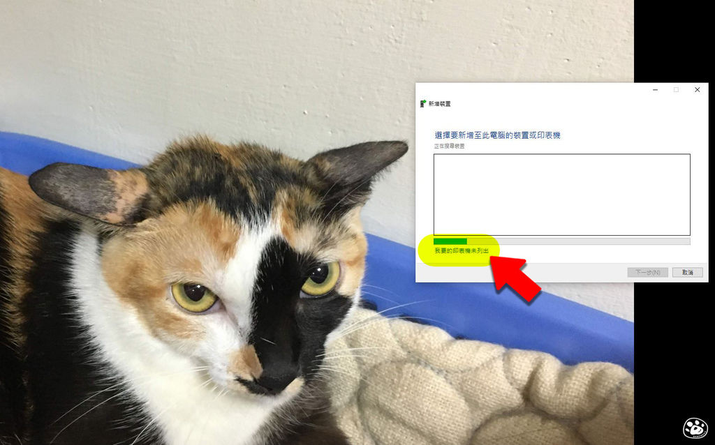 貓與蟲WIN10印表機驅動程式下載安裝教學操作雷射噴墨13.jpg 貓與蟲WIN10印表機驅動程式下載安裝教學操作雷射噴墨13.jpg