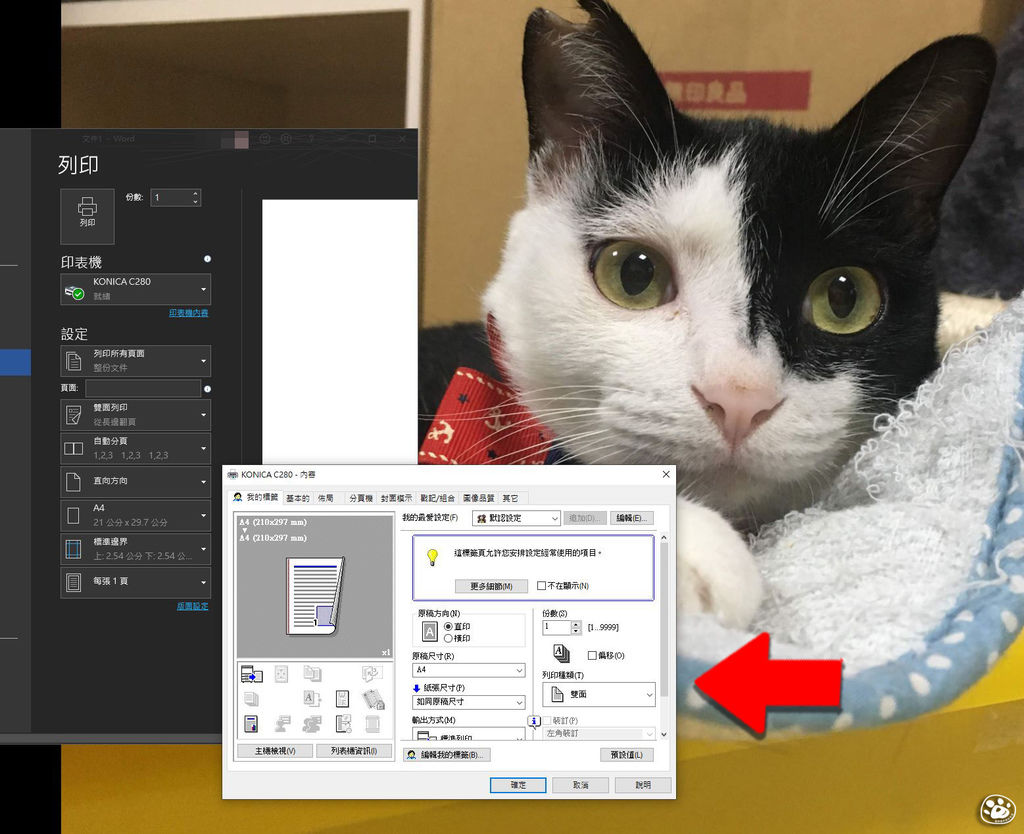 貓與蟲WIN10印表機驅動程式下載安裝教學操作雷射噴墨22.jpg 貓與蟲WIN10印表機驅動程式下載安裝教學操作雷射噴墨22.jpg