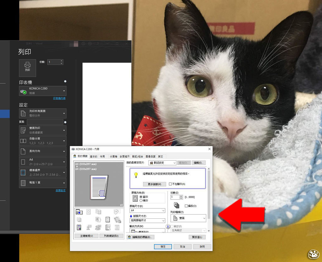 貓與蟲WIN10印表機驅動程式下載安裝教學操作雷射噴墨22.jpg