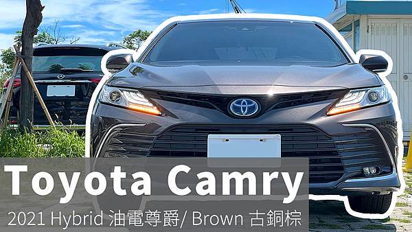 ToyotaCamry20218點5代凱美麗Hybrid油電尊爵古銅棕色貓與蟲的遊記生活 (11).jpg