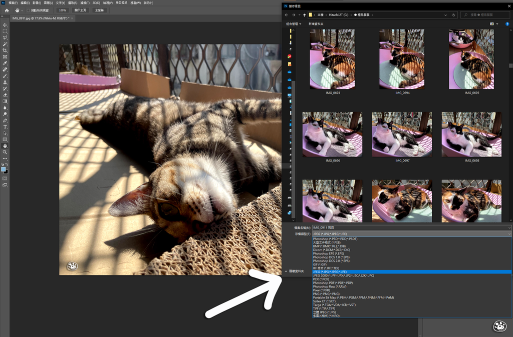 PhotoshopCantsaveasjpg另存新檔不能存JPG改用儲存複本save教學貓與蟲的遊記生活 (3).png
