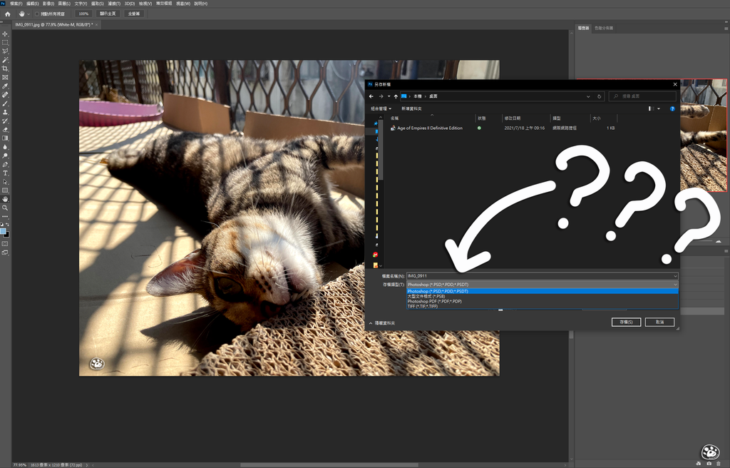 PhotoshopCantsaveasjpg另存新檔不能存JPG改用儲存複本save教學貓與蟲的遊記生活 (1).png